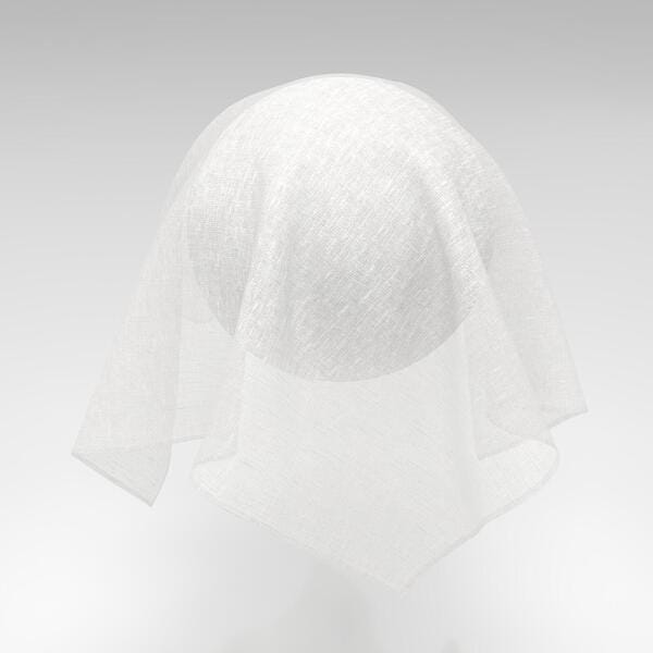 Download Preview Asset