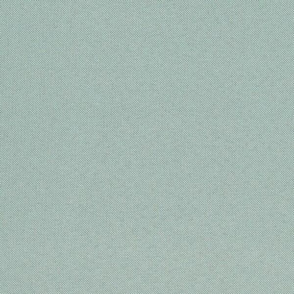 Download Preview Asset