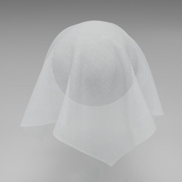 Download Preview Asset