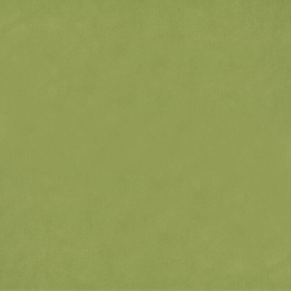 Download Preview Asset