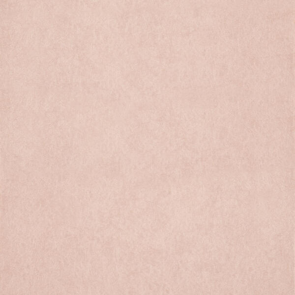 Download Preview Asset