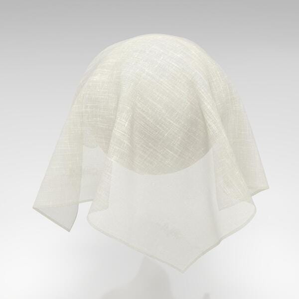 Download Preview Asset