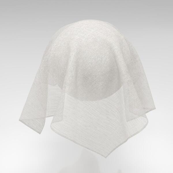 Download Preview Asset