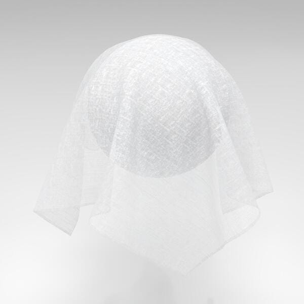 Download Preview Asset