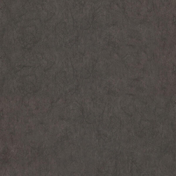 Download Preview Asset