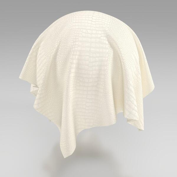 Download Preview Asset