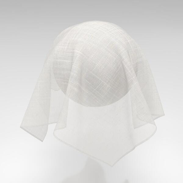 Download Preview Asset