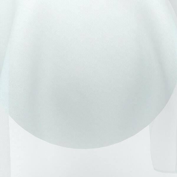 Download Preview Asset