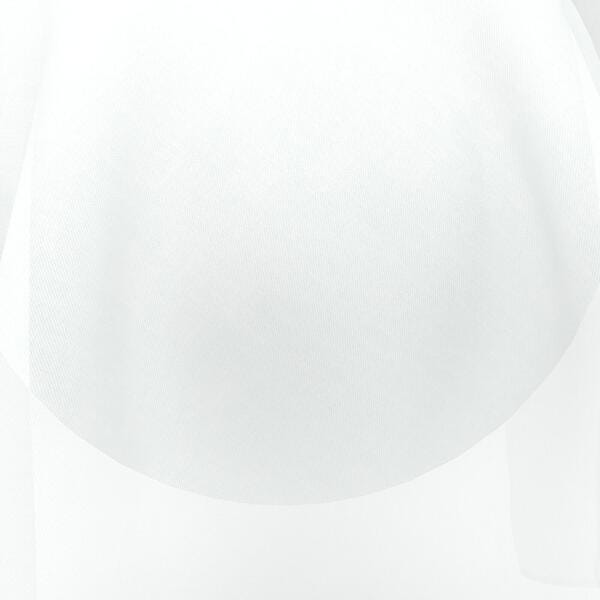 Download Preview Asset