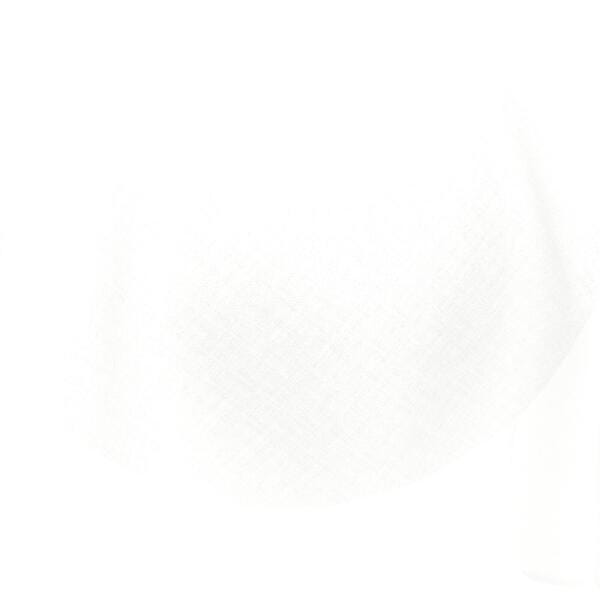 Download Preview Asset
