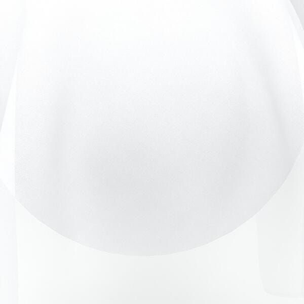 Download Preview Asset