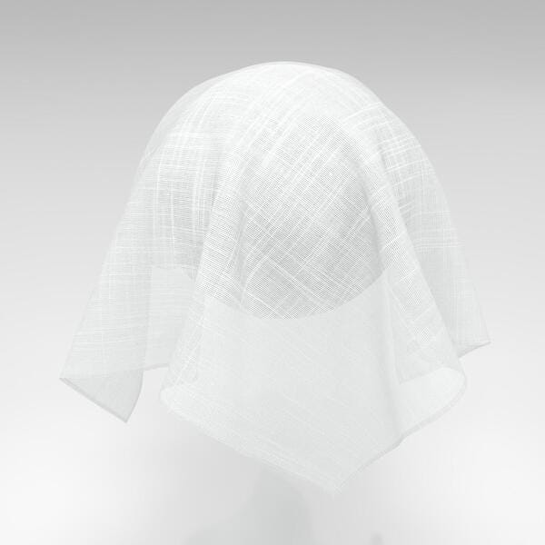 Download Preview Asset