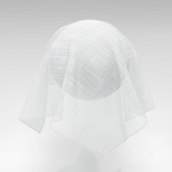 Download Preview Asset