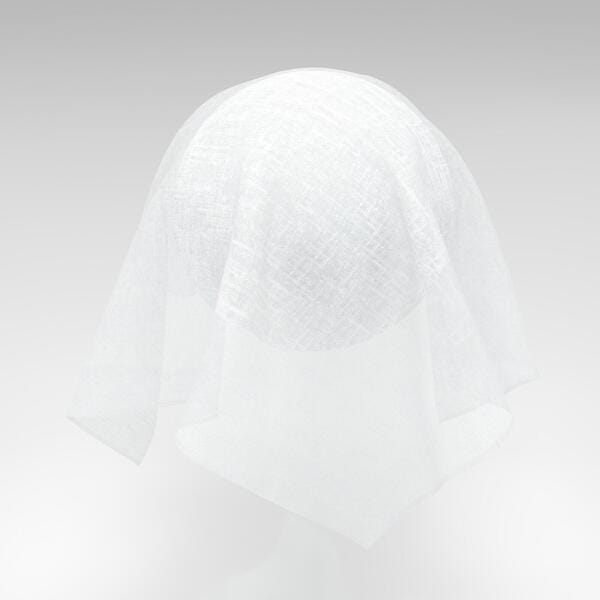 Download Preview Asset