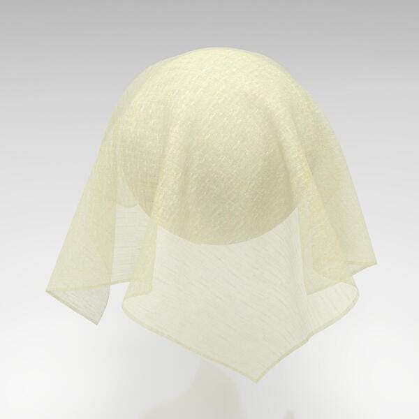 Download Preview Asset