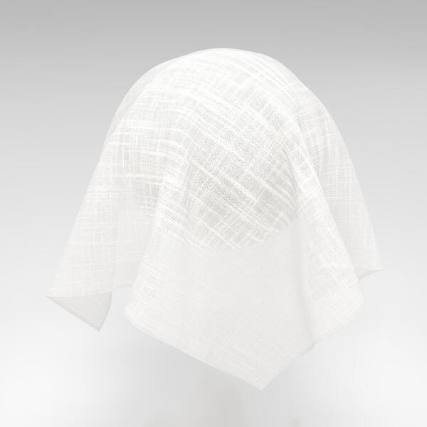 Download Preview Asset