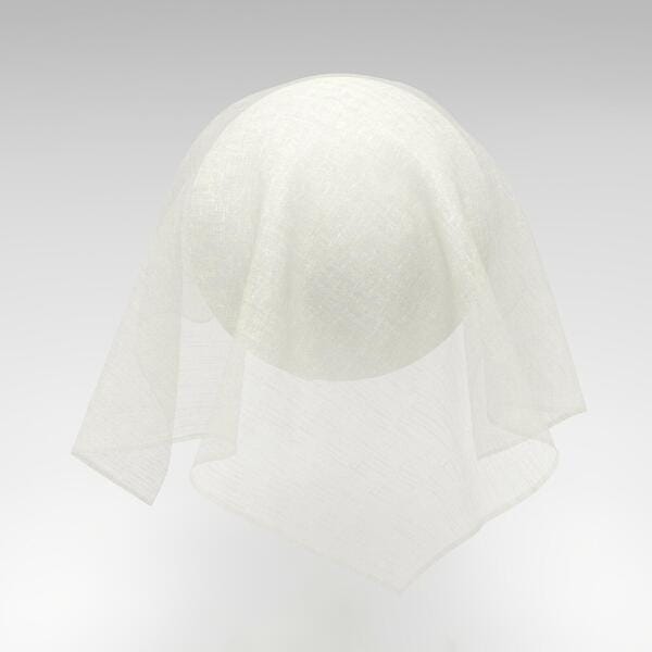 Download Preview Asset